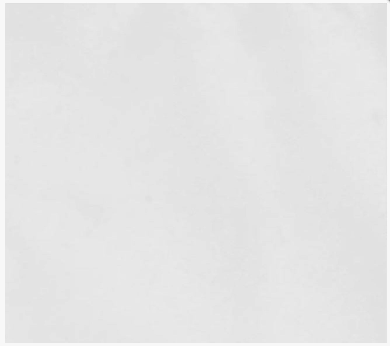 TRP WORLDWIDE Seamless Bleach Muslin Fabric (8 x 8')