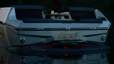 Useful rear Tige logo/detail frame, but it is dark and tightly cropped.