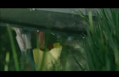 USPA Yellow Dress Window Reflection. lifestyle visual reference, composition and color reference.