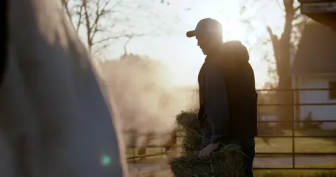 Strong backlit farm moment with hay, atmosphere, and clear rural context.