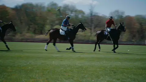 Riders in blue and red shirts travel side by side on brown horses with polo mallets in hand and a white ball ahead.