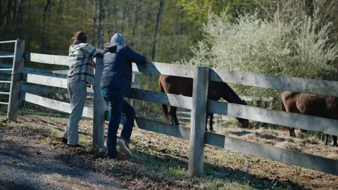 Two men lean on a weathered wooden fence with their backs to the camera while brown horses graze beneath flowering trees.