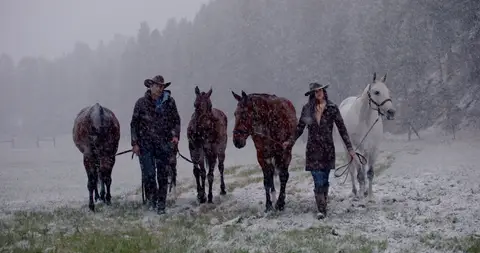 Two handlers walk with four horses across a wide field during heavy snowfall.